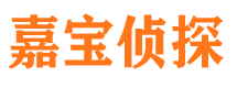 狮子山侦探社